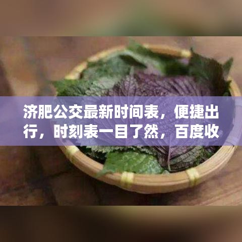 济肥公交最新时间表，便捷出行，时刻表一目了然，百度收录标准标题
