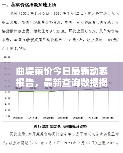 曲堤菜价今日最新动态报告，最新查询数据揭秘菜价走势