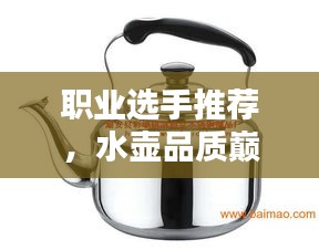 职业选手推荐，水壶品质巅峰，前十名排名大揭秘！