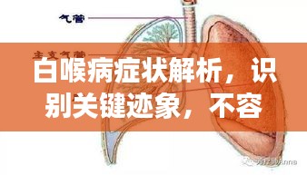 白喉病症状解析，识别关键迹象，不容忽视