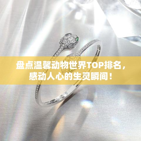 盘点温馨动物世界TOP排名，感动人心的生灵瞬间！