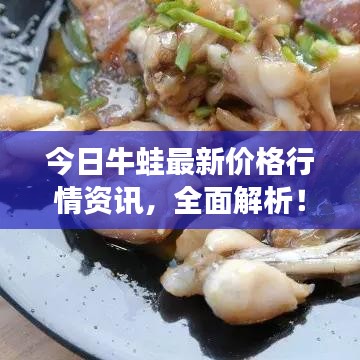 今日牛蛙最新价格行情资讯，全面解析！