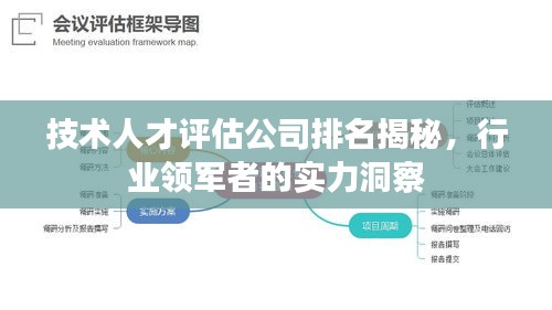 技术人才评估公司排名揭秘，行业领军者的实力洞察