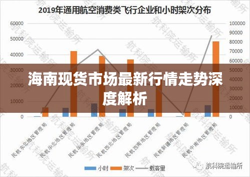 海南现货市场最新行情走势深度解析