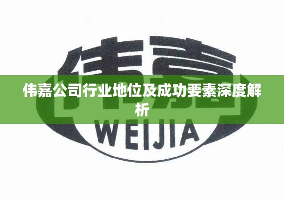伟嘉公司行业地位及成功要素深度解析