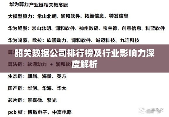 韶关数据公司排行榜及行业影响力深度解析