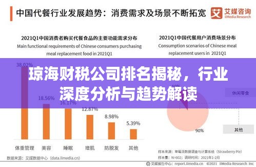 琼海财税公司排名揭秘，行业深度分析与趋势解读