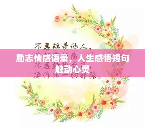 励志情感语录，人生感悟短句触动心灵