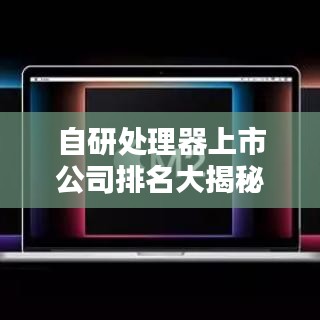 自研处理器上市公司排名大揭秘，谁是行业领头羊？