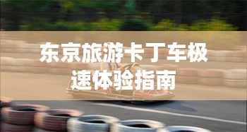 东京旅游卡丁车极速体验指南