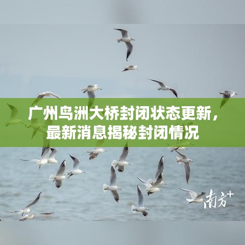 广州鸟洲大桥封闭状态更新，最新消息揭秘封闭情况