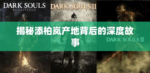 揭秘添柏岚产地背后的深度故事