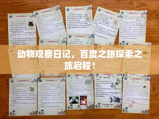 动物观察日记，百度之旅探索之旅启程！