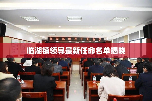 临湖镇领导最新任命名单揭晓