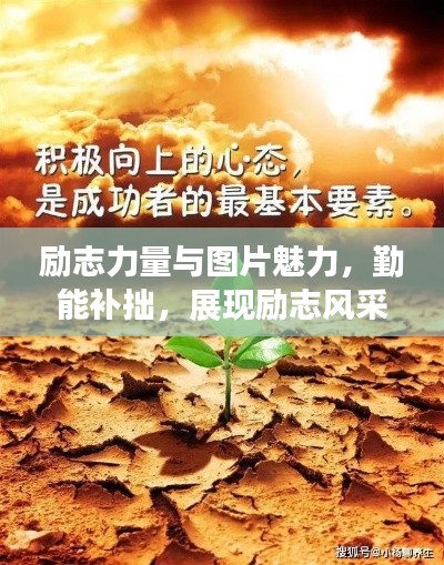 励志力量与图片魅力，勤能补拙，展现励志风采！