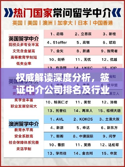 权威解读深度分析，签证中介公司排名及行业洞察