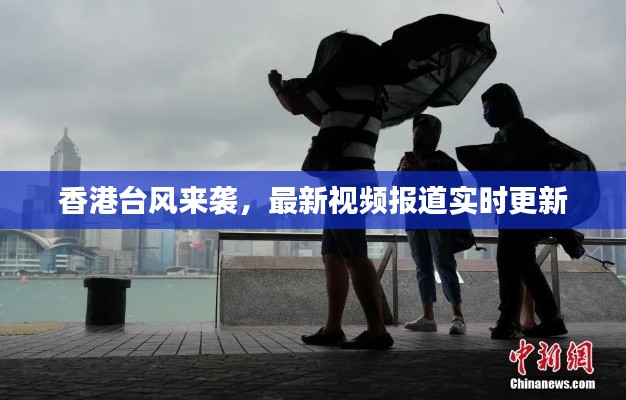 香港台风来袭，最新视频报道实时更新