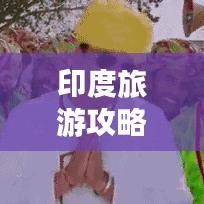 印度旅游攻略揭秘，探索神秘国度的最佳指南