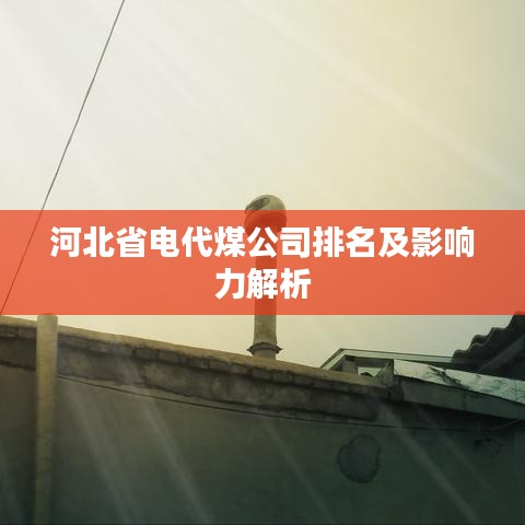 河北省电代煤公司排名及影响力解析