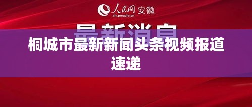 桐城市最新新闻头条视频报道速递