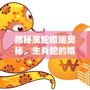揭秘属蛇婚姻奥秘，生肖蛇的婚姻运势与配对分析