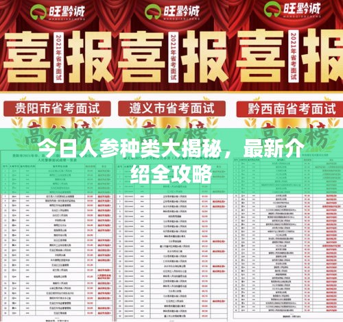 今日人参种类大揭秘，最新介绍全攻略