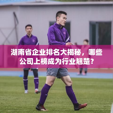 湖南省企业排名大揭秘，哪些公司上榜成为行业翘楚？