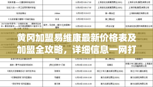 黄冈加盟易维康最新价格表及加盟全攻略，详细信息一网打尽