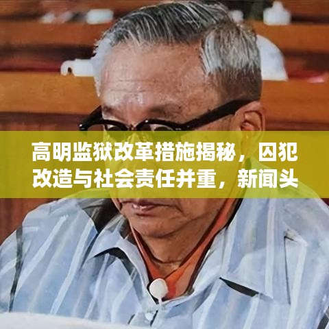 飞蛾扑火