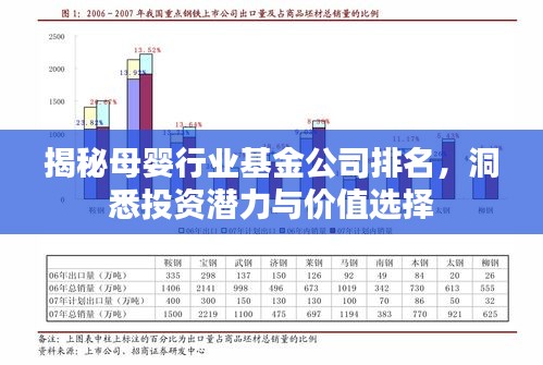 揭秘母婴行业基金公司排名，洞悉投资潜力与价值选择