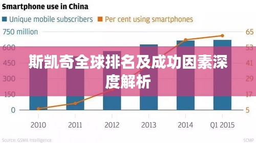 斯凯奇全球排名及成功因素深度解析