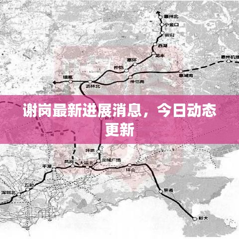 谢岗最新进展消息，今日动态更新