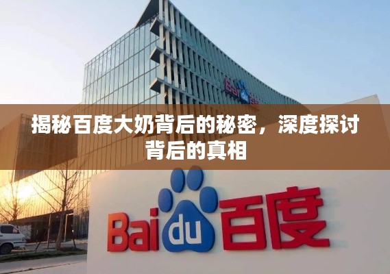 揭秘百度大奶背后的秘密，深度探讨背后的真相