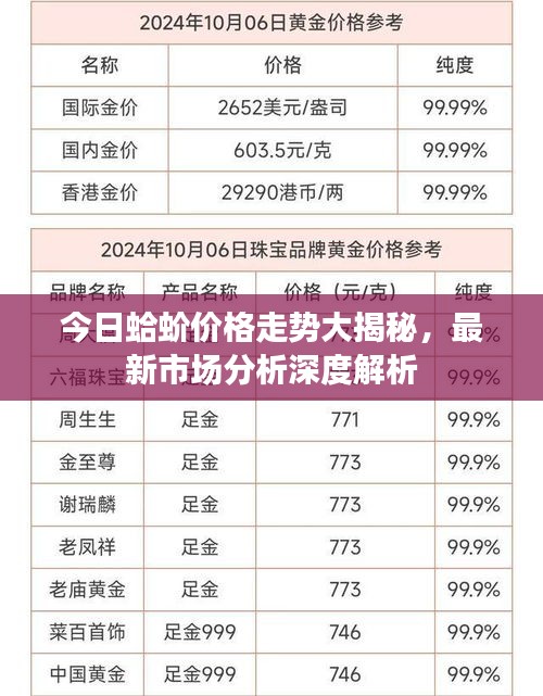 今日蛤蚧价格走势大揭秘，最新市场分析深度解析