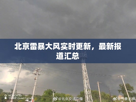 自作主张