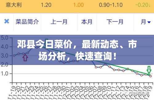 邓县今日菜价，最新动态、市场分析，快速查询！