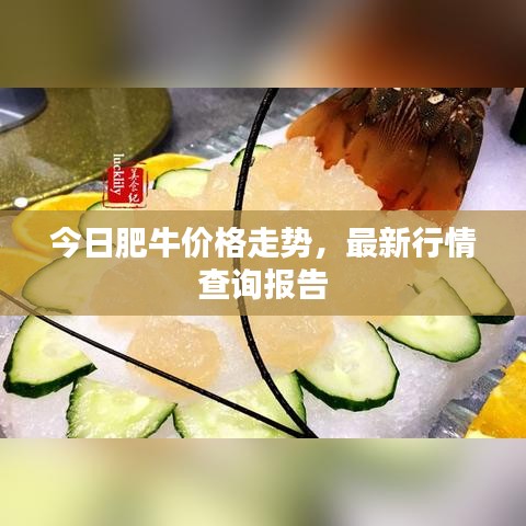 今日肥牛价格走势，最新行情查询报告