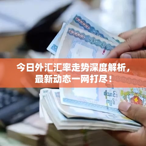 今日外汇汇率走势深度解析，最新动态一网打尽！