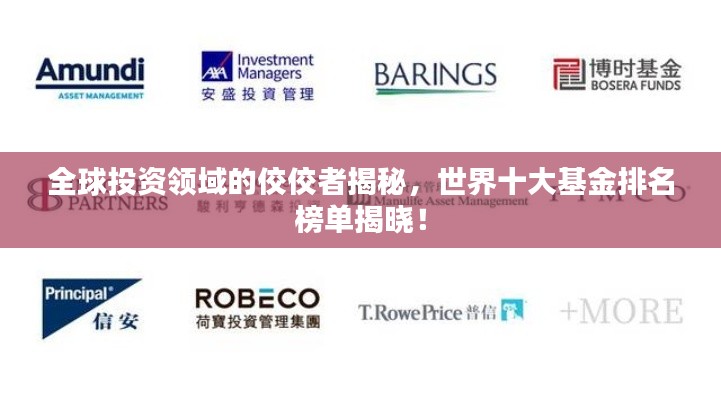 全球投资领域的佼佼者揭秘，世界十大基金排名榜单揭晓！