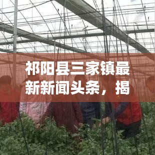 祁阳县三家镇最新新闻头条，揭秘当地发展动态