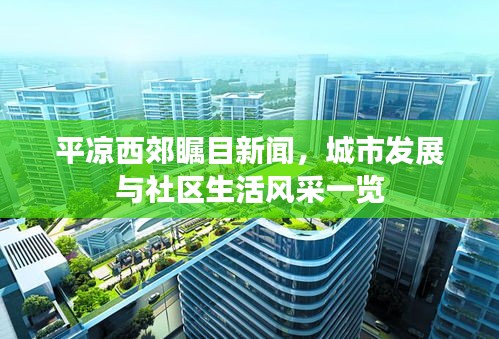 平凉西郊瞩目新闻，城市发展与社区生活风采一览