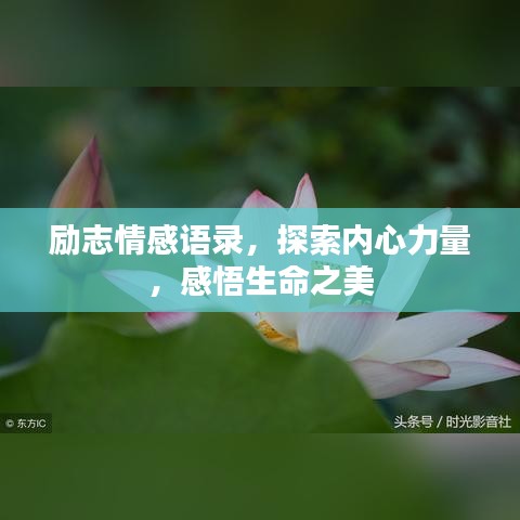 励志情感语录，探索内心力量，感悟生命之美