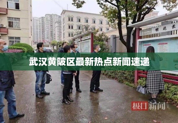 武汉黄陂区最新热点新闻速递