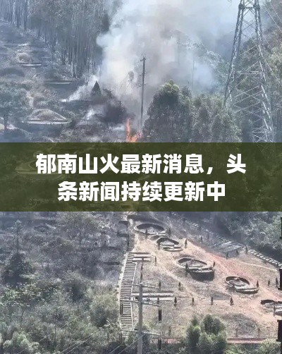郁南山火最新消息，头条新闻持续更新中