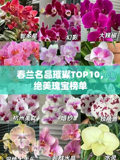 联系我们 第17页