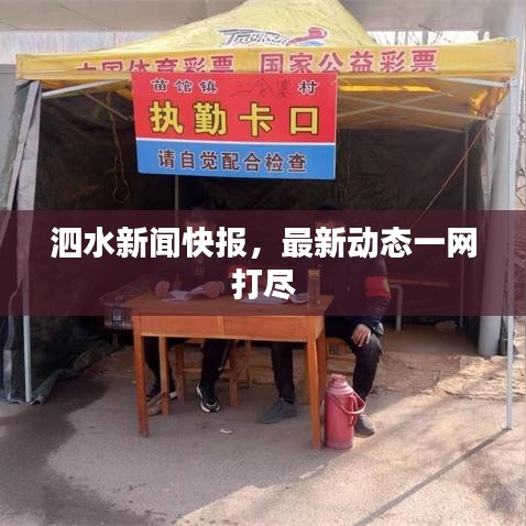 泗水新闻快报，最新动态一网打尽