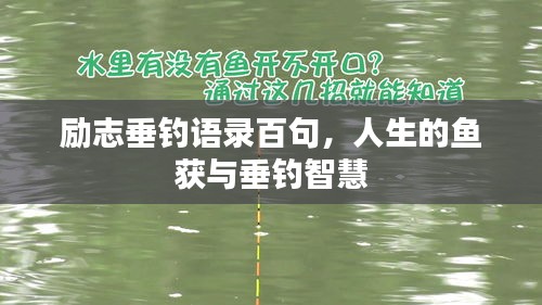 励志垂钓语录百句，人生的鱼获与垂钓智慧