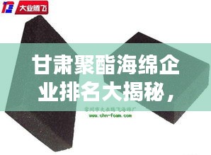 甘肃聚酯海绵企业排名大揭秘，优质公司一览无余！