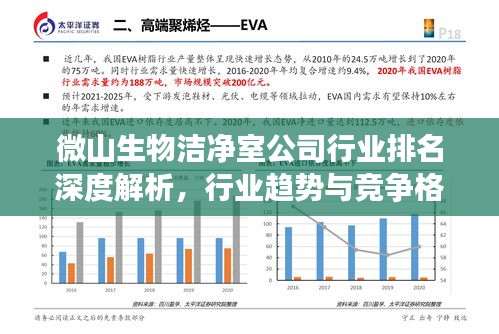 微山生物洁净室公司行业排名深度解析，行业趋势与竞争格局揭秘！
