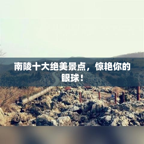 雍容华贵
